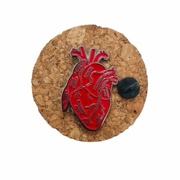 ❤️Anatomical Human Heart Enamel Pin Brooch Red Heart Organ Lapel Anatomy Lovers - Picture 2 of 5